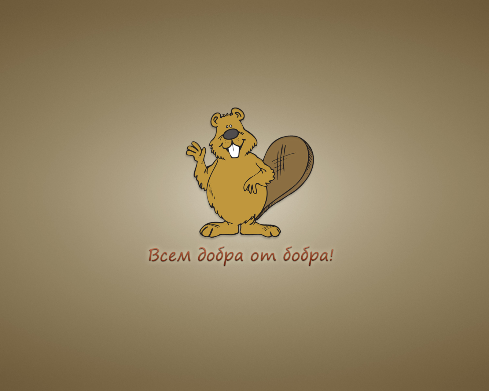 Обои Kind Beaver 1600x1280