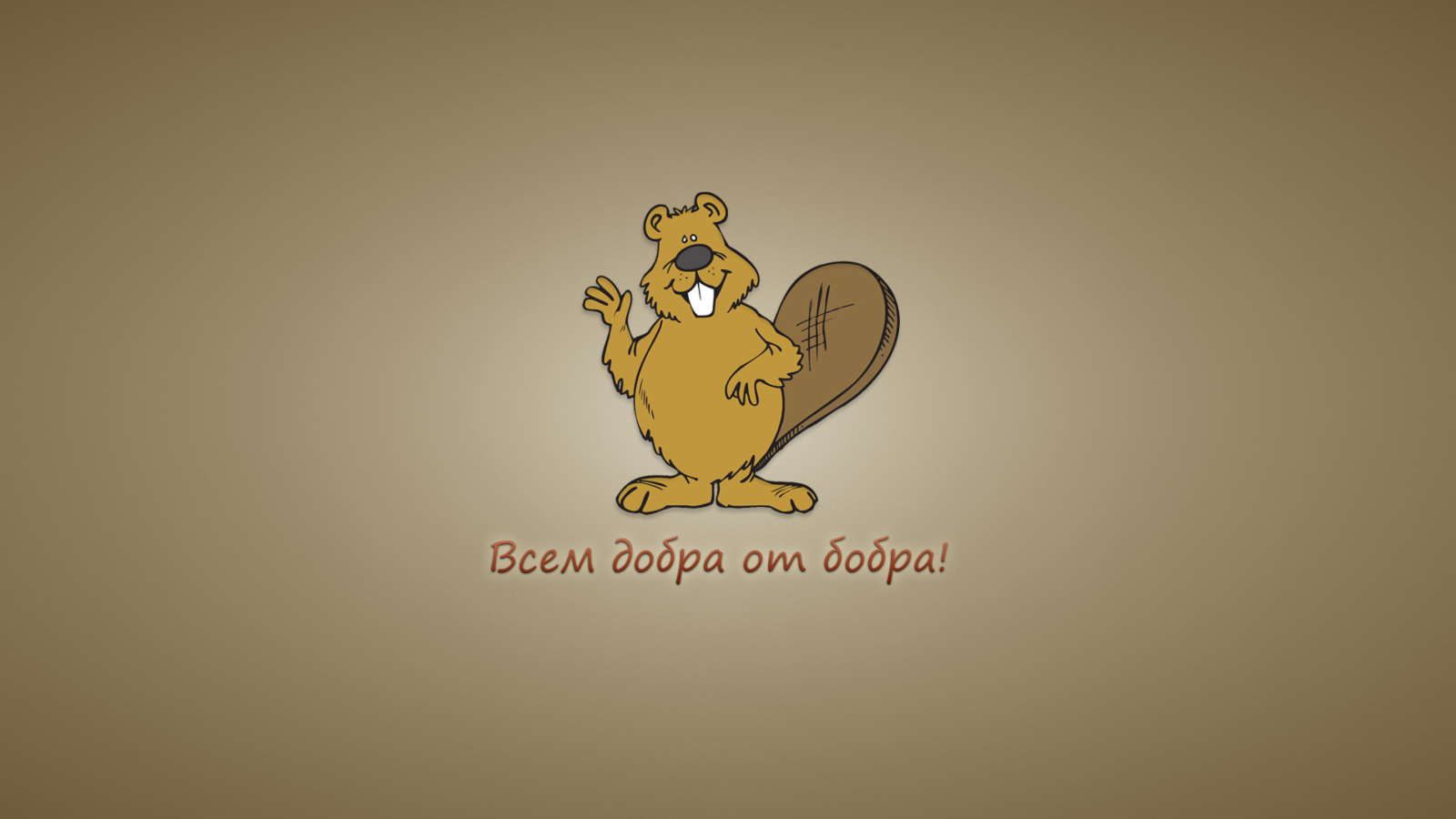 Das Kind Beaver Wallpaper 1600x900