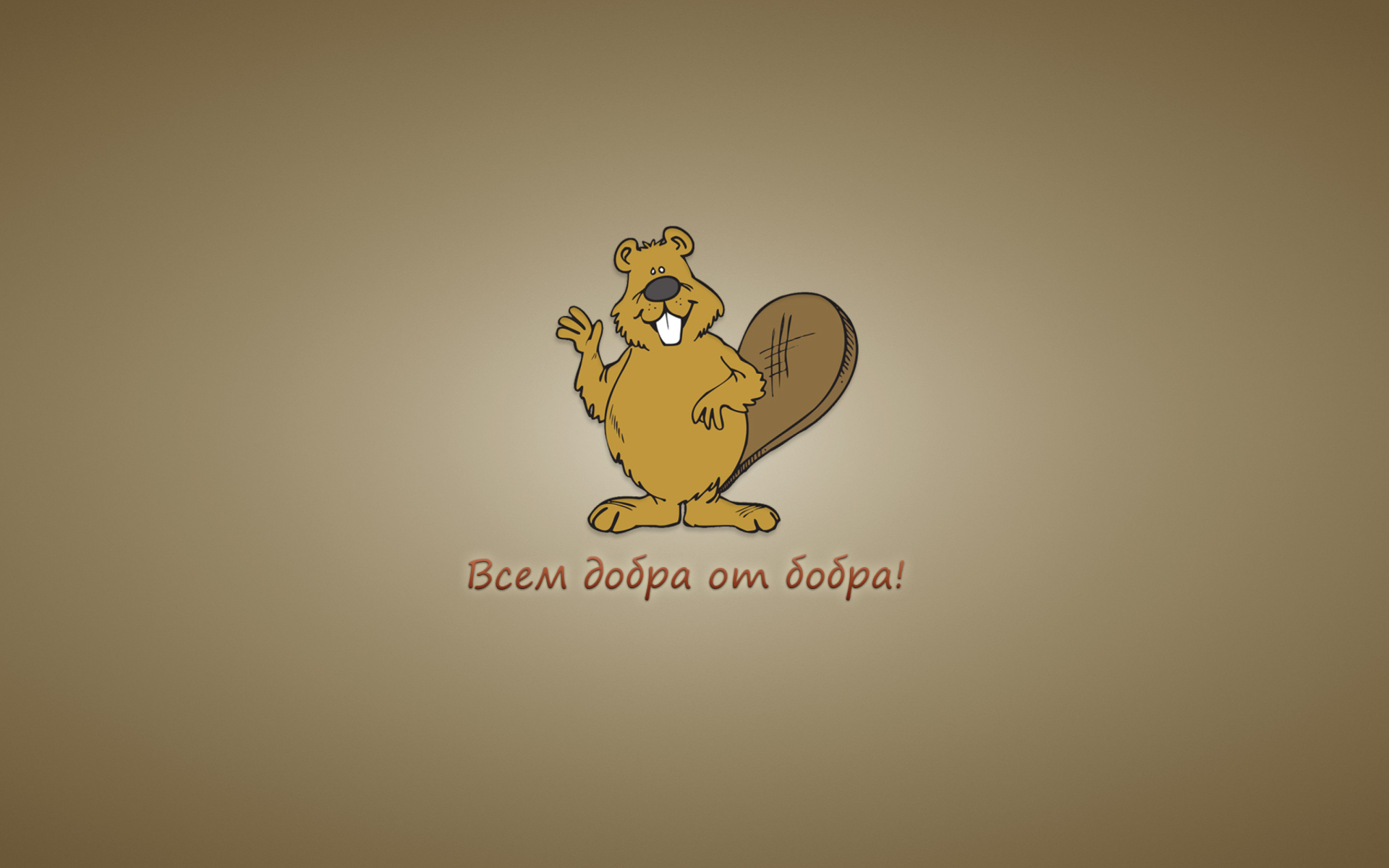 Обои Kind Beaver 1920x1200