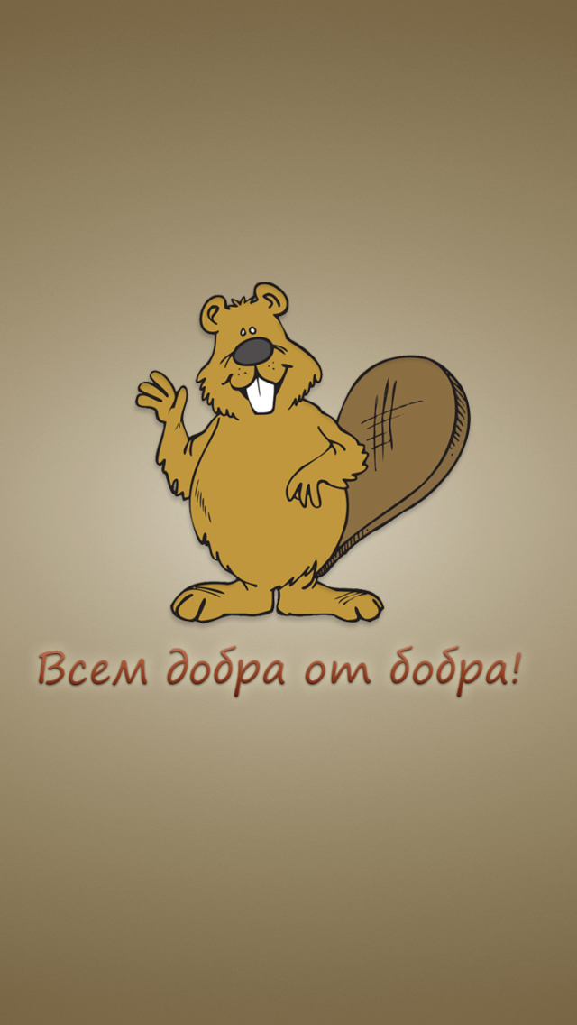 Das Kind Beaver Wallpaper 640x1136