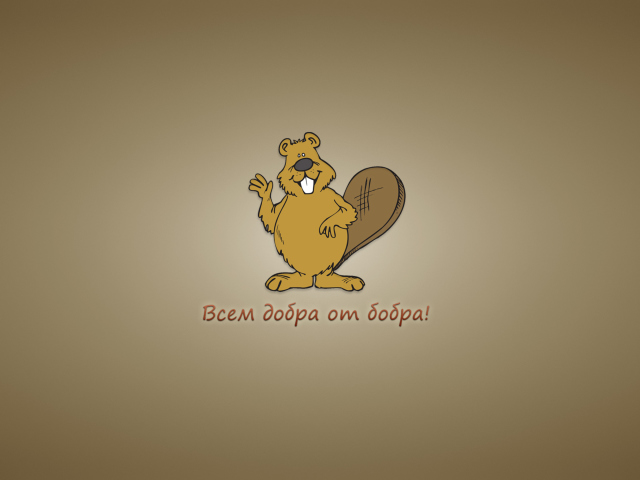 Fondo de pantalla Kind Beaver 640x480