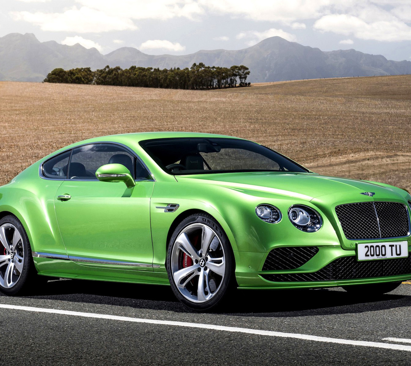 Bentley Continental GT 4 wallpaper 1440x1280