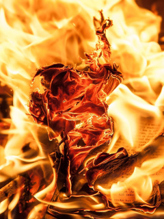 Burn and flames wallpaper 240x320