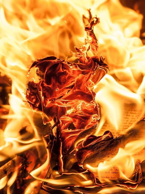 Burn and flames wallpaper 480x640