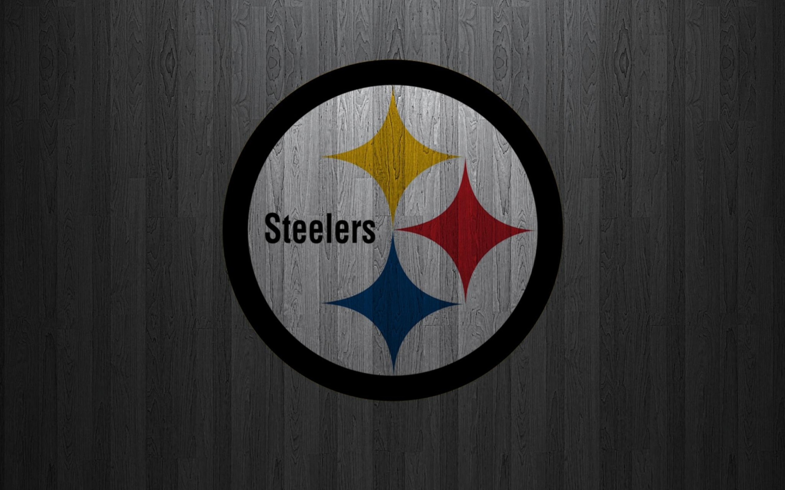 Screenshot №1 pro téma Pittsburgh Steelers 2560x1600
