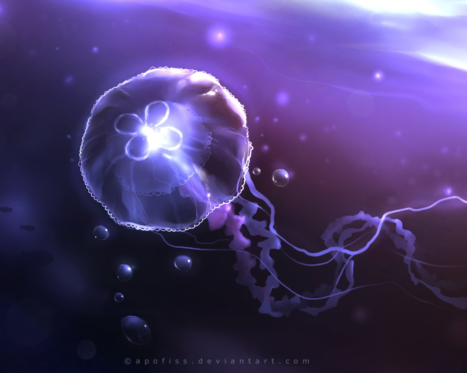 Das Underwater Jellyfish Wallpaper 1600x1280