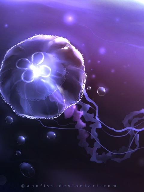 Screenshot №1 pro téma Underwater Jellyfish 480x640