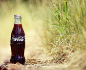 Coca Cola Soft Drink wallpaper 176x144