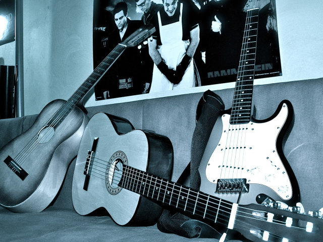 Rammstein guitars for metal music screenshot #1 640x480