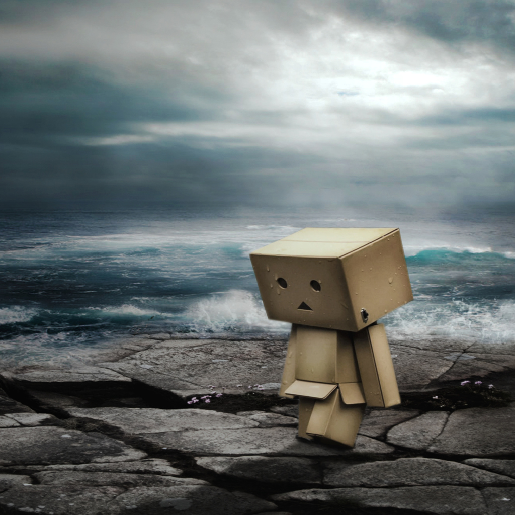 Screenshot №1 pro téma Danbo On Ocean Coast 1024x1024