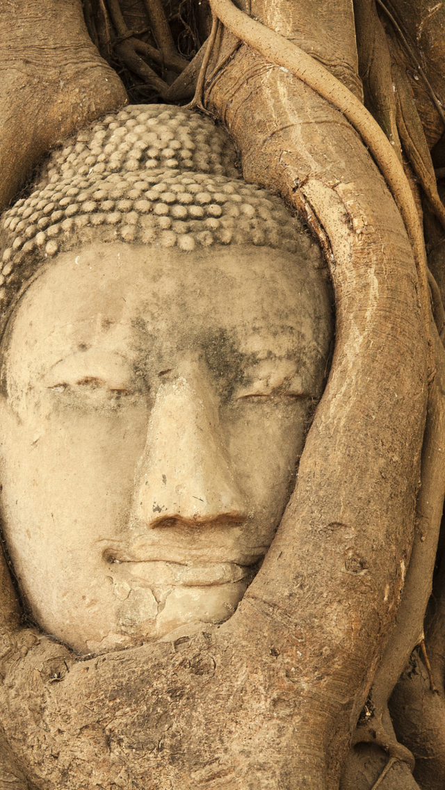 Sfondi Wooden Buddha In Thailand 640x1136