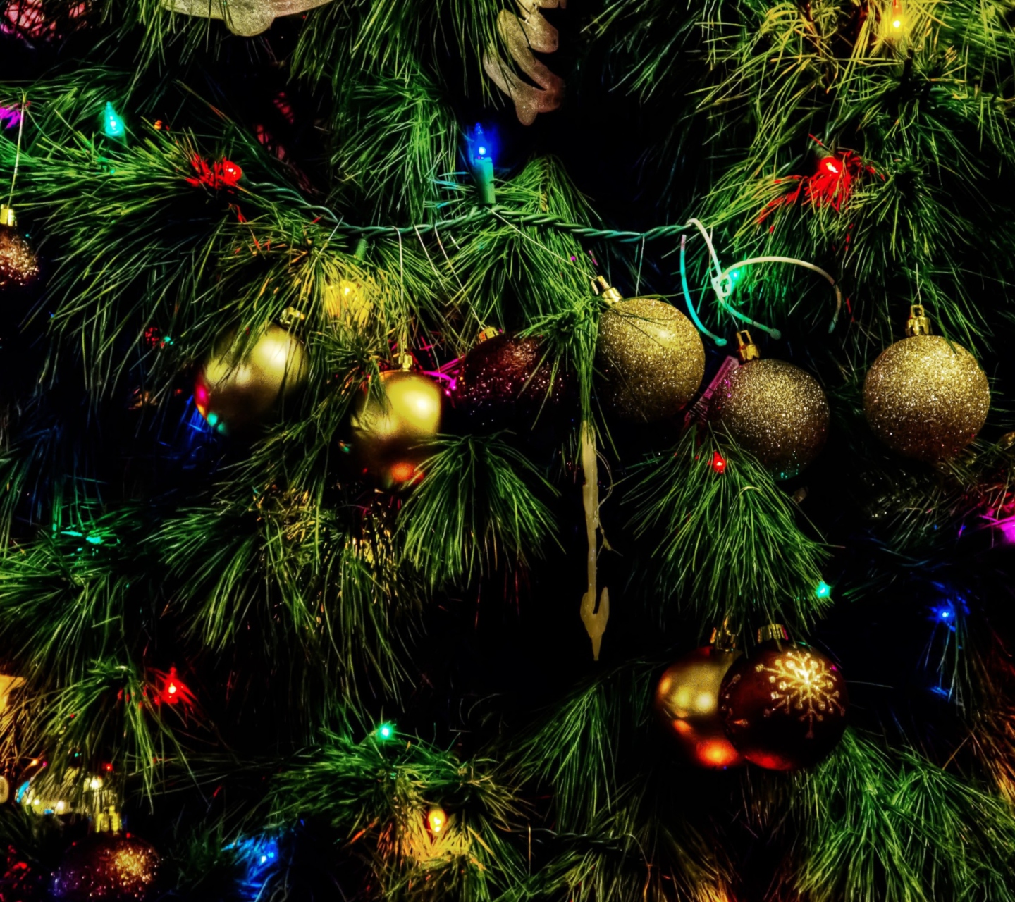Christmas Tree wallpaper 1440x1280
