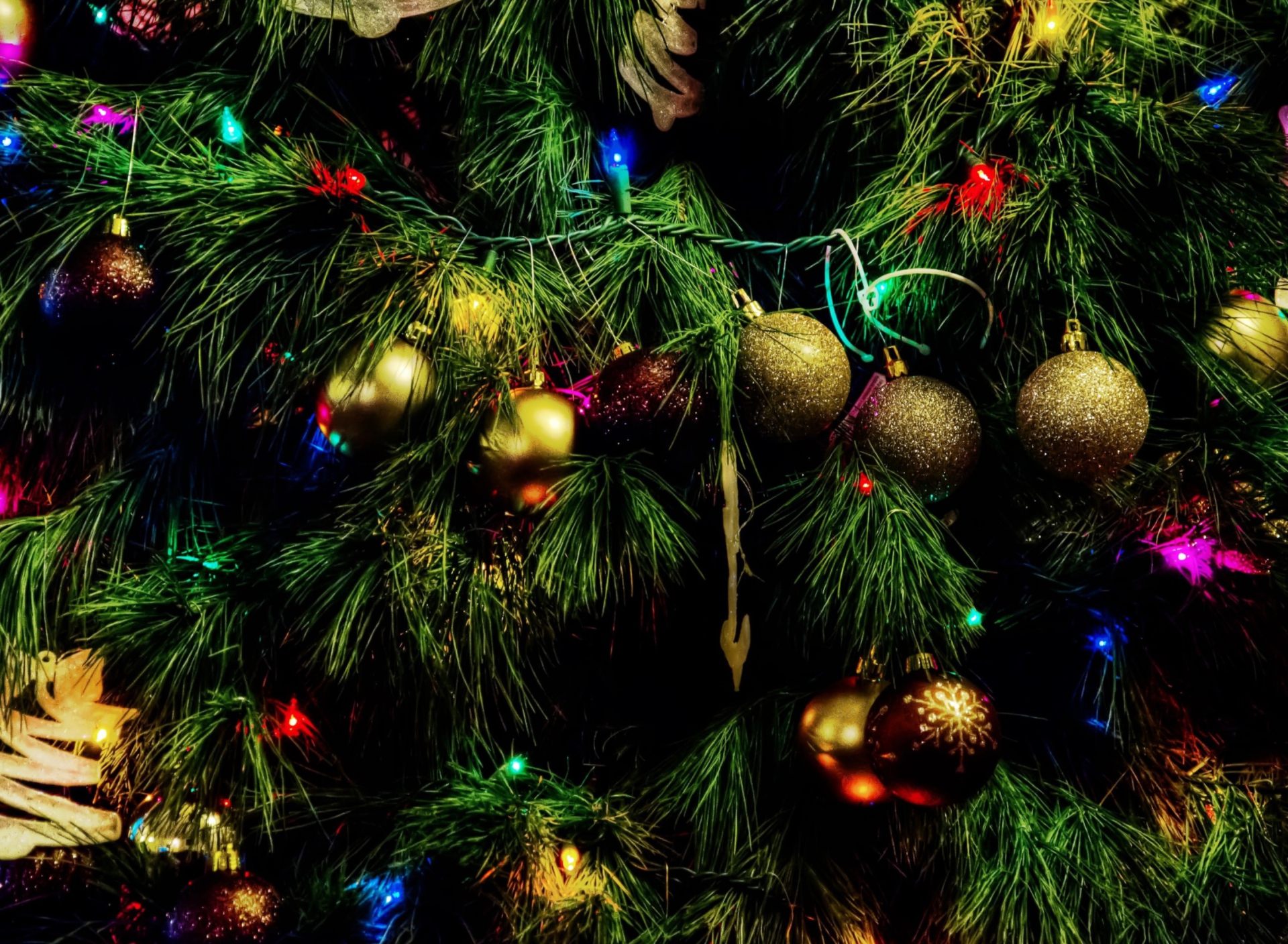 Fondo de pantalla Christmas Tree 1920x1408