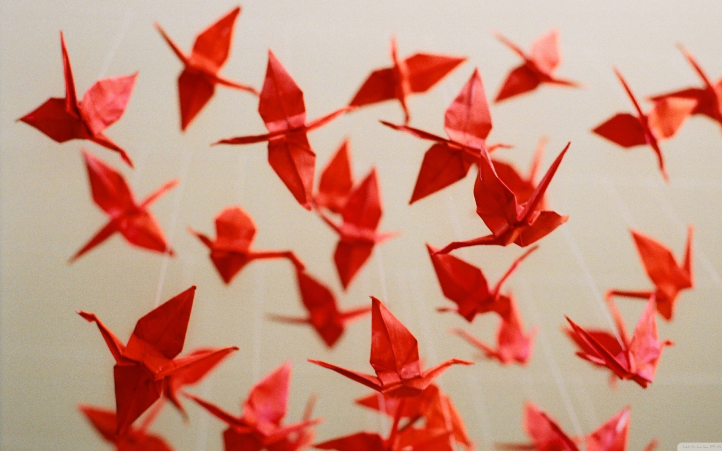 Origami wallpaper 1440x900