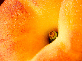 Peach screenshot #1 320x240