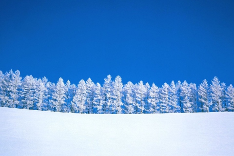Das Winter Snow Wallpaper 480x320