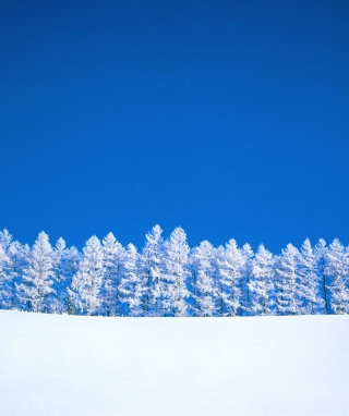 Winter Snow - Obrázkek zdarma pro Nokia Asha 503