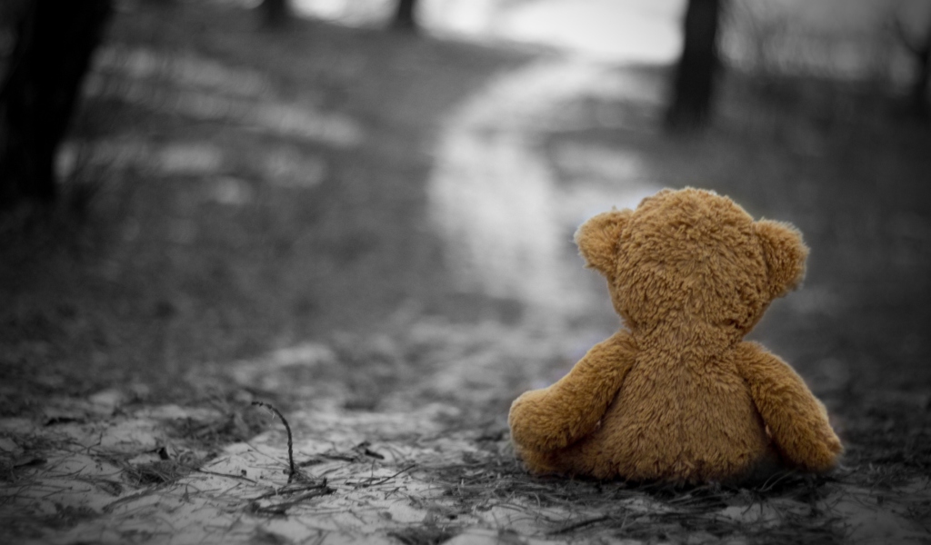 Das Lost Teddy Bear Wallpaper 1024x600