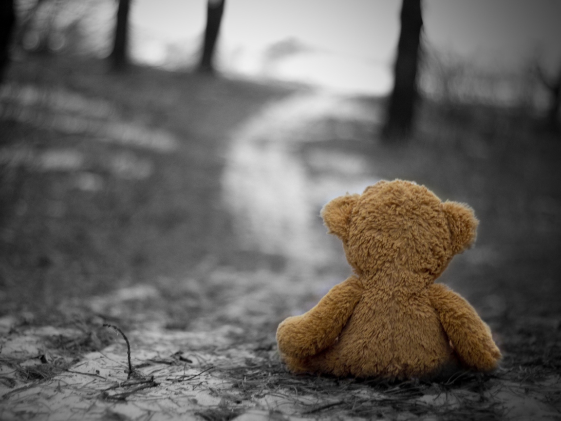 Lost Teddy Bear screenshot #1 1152x864