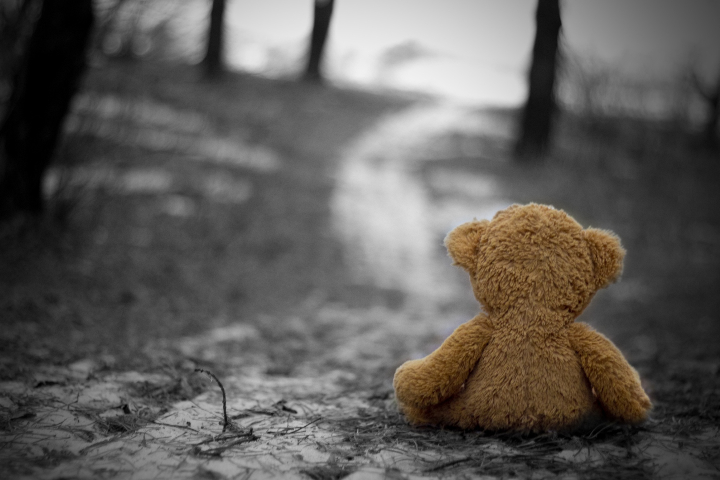 Screenshot №1 pro téma Lost Teddy Bear 2880x1920