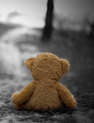 Lost Teddy Bear papel de parede para celular para iPhone 5S