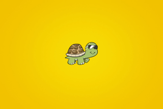 Turtle In Sunglasses Background for Android, iPhone and iPad