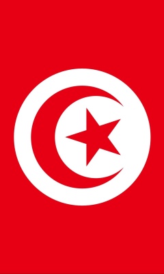Screenshot №1 pro téma Flag of Tunisia 240x400