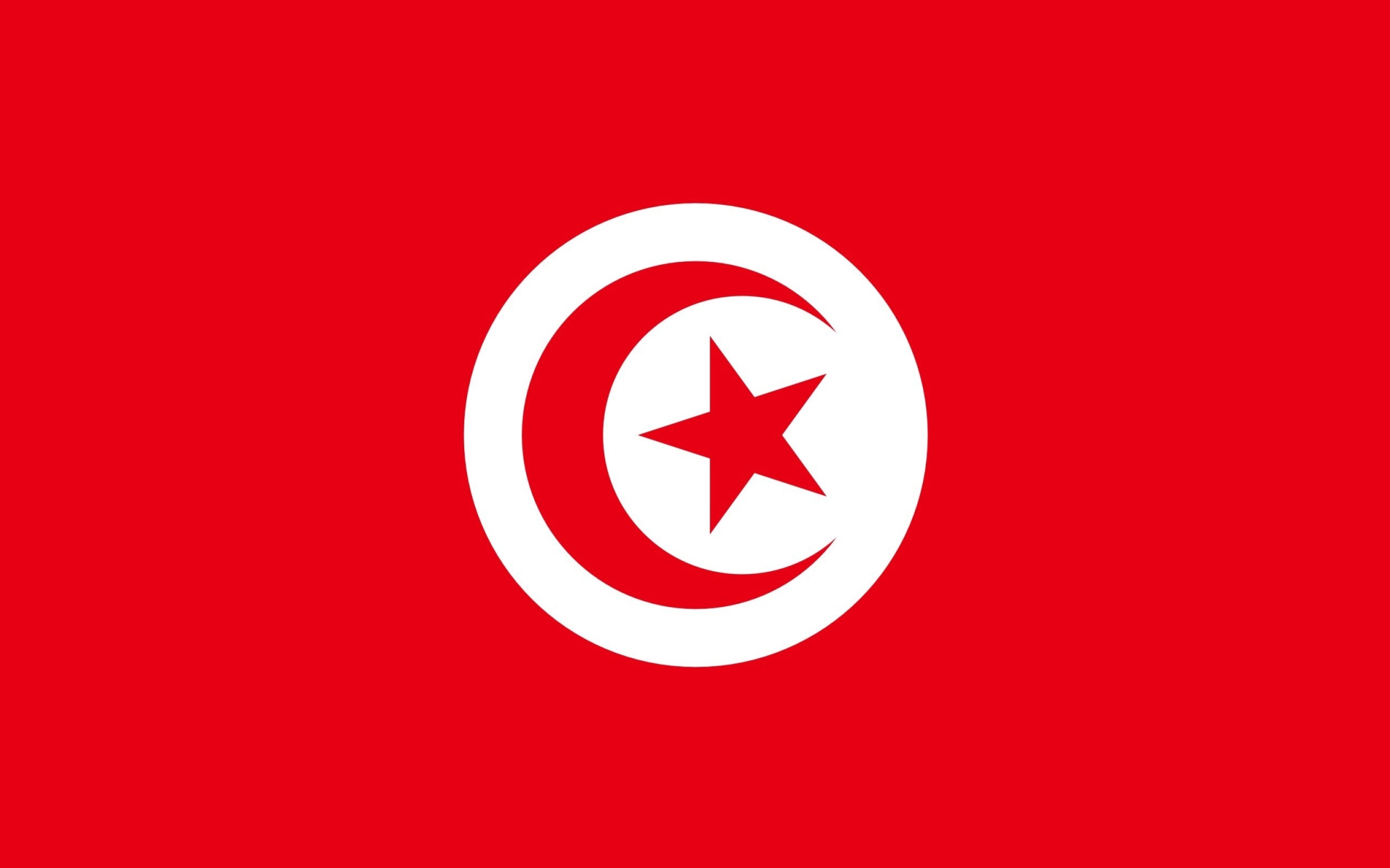 Обои Flag of Tunisia 2560x1600