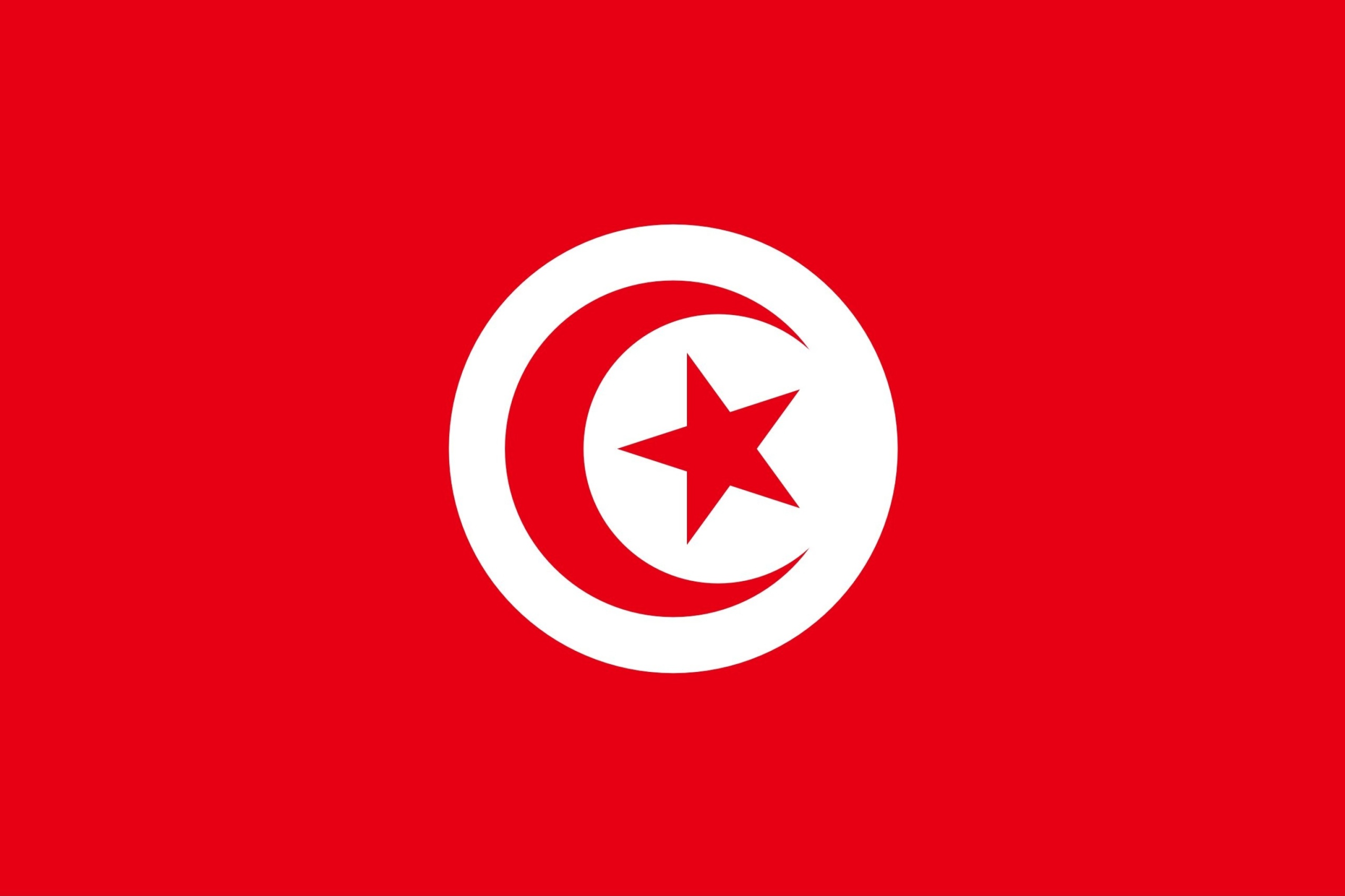 Fondo de pantalla Flag of Tunisia 2880x1920