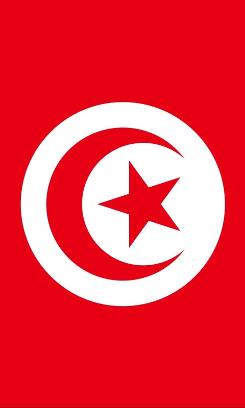 Flag of Tunisia wallpaper 480x800