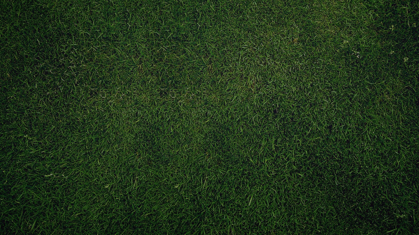 Screenshot №1 pro téma Green Grass Background 1366x768