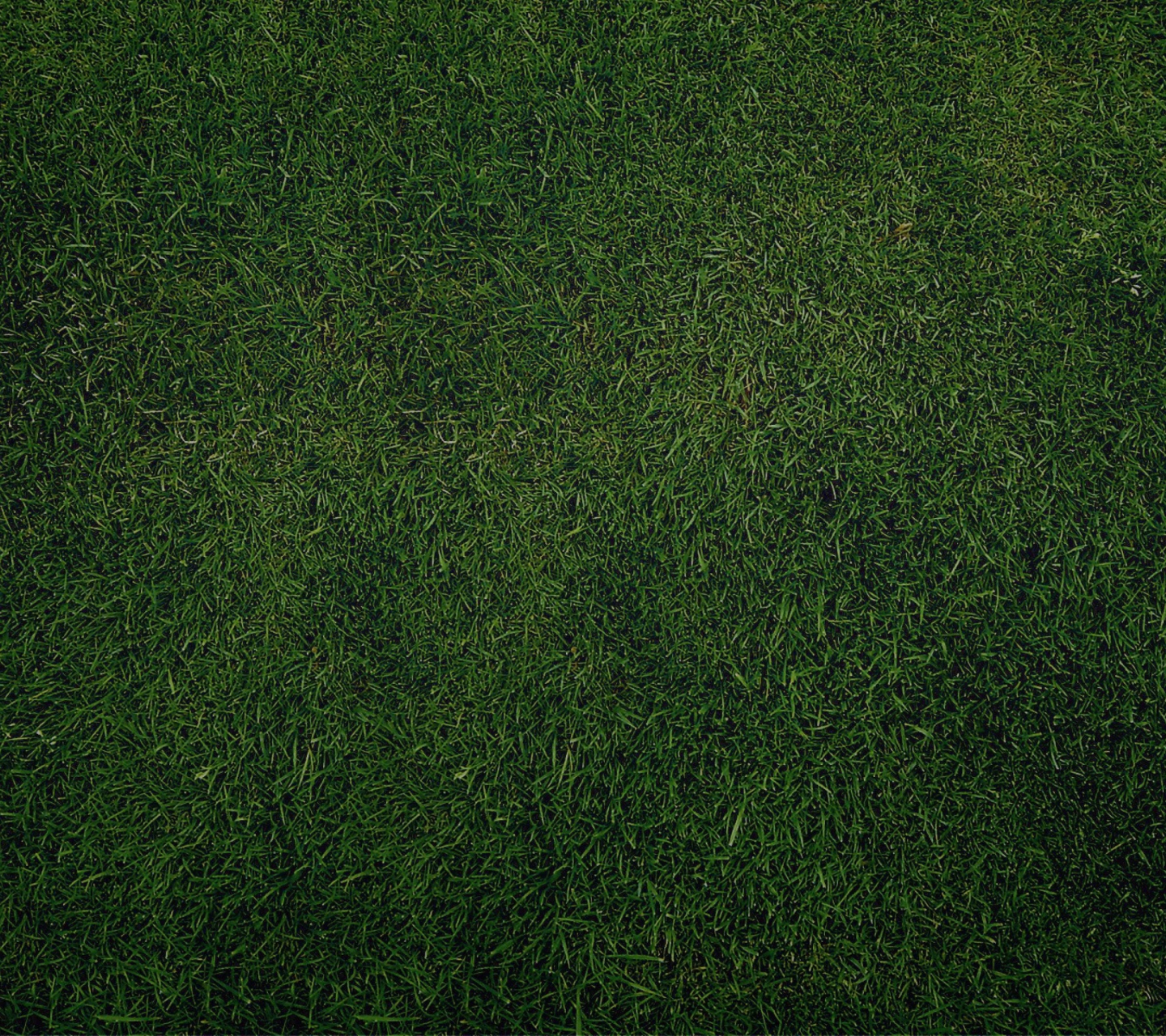 Screenshot №1 pro téma Green Grass Background 1440x1280
