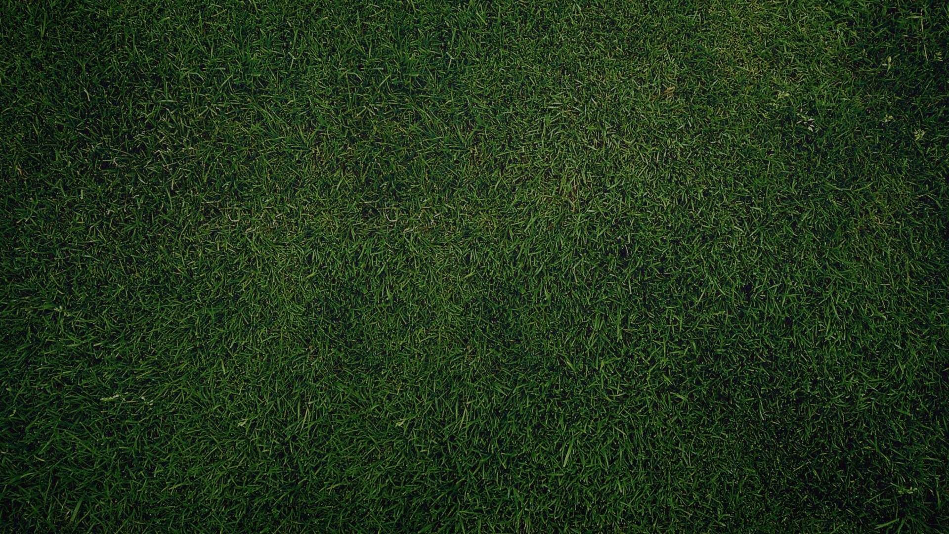 Fondo de pantalla Green Grass Background 1920x1080