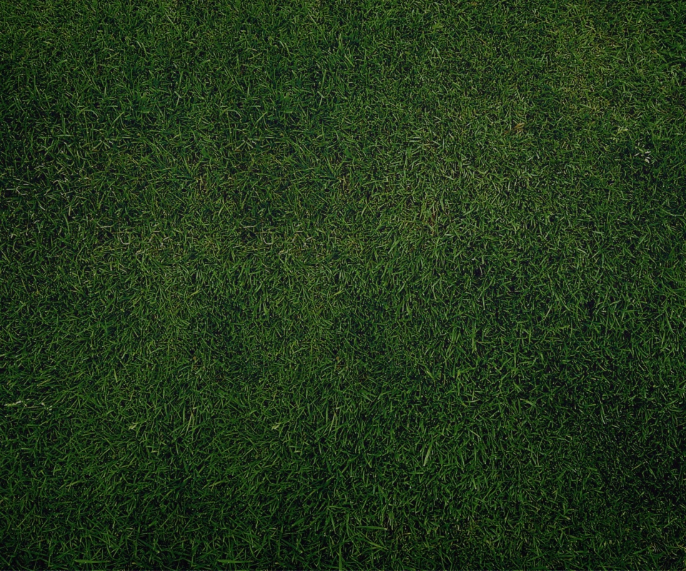 Fondo de pantalla Green Grass Background 960x800