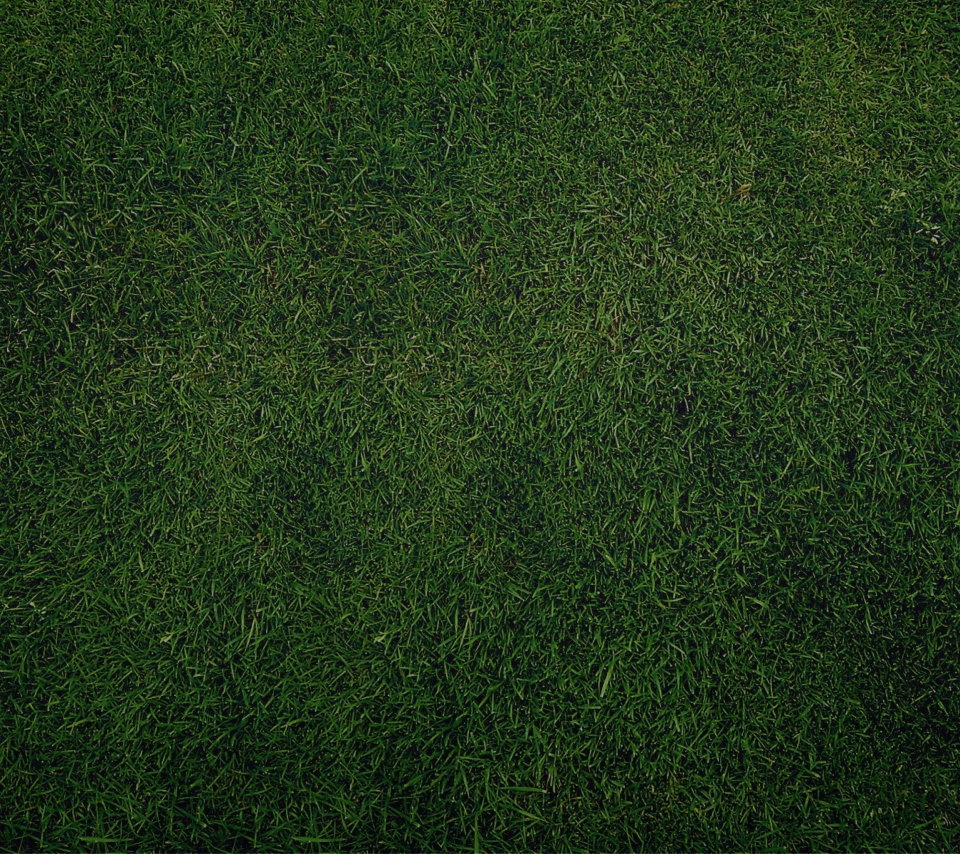 Fondo de pantalla Green Grass Background 960x854