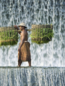 Vietnamese Farmer screenshot #1 132x176