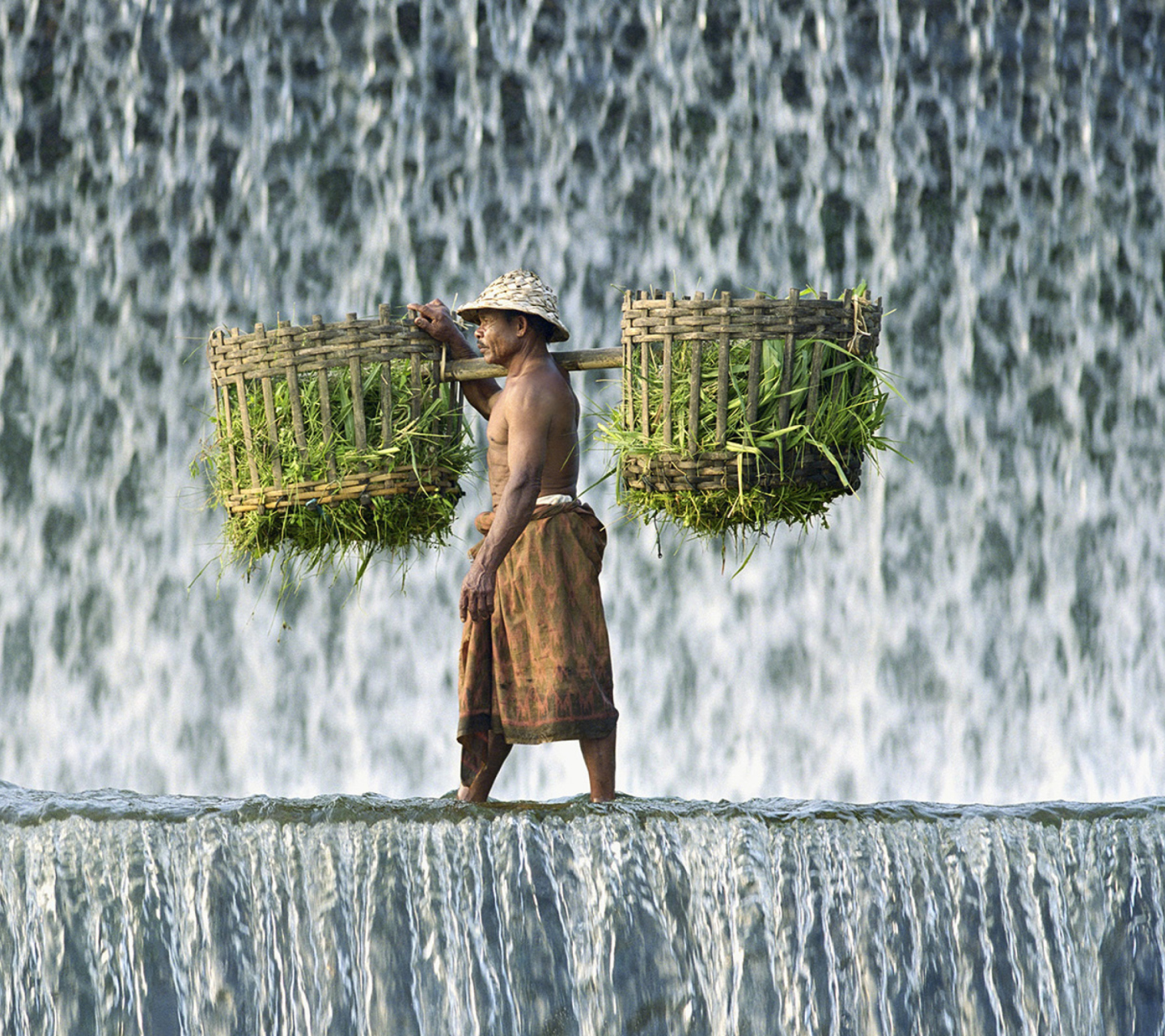 Fondo de pantalla Vietnamese Farmer 1440x1280