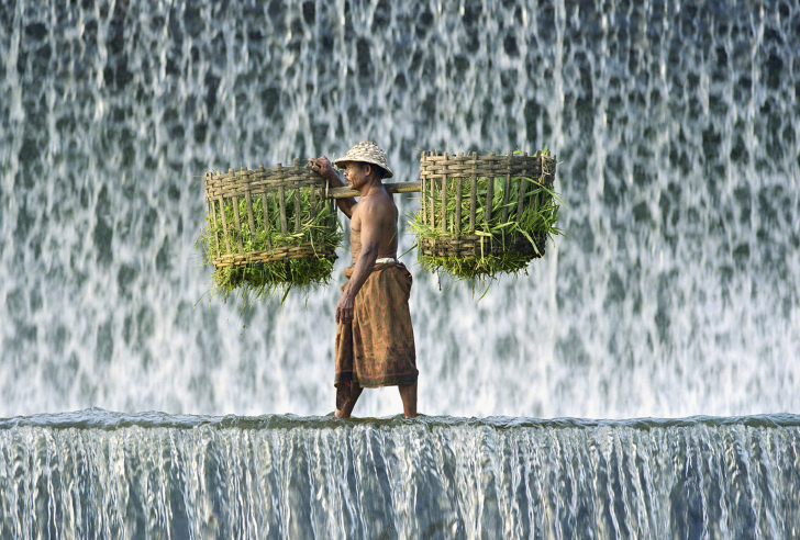 Vietnamese Farmer wallpaper