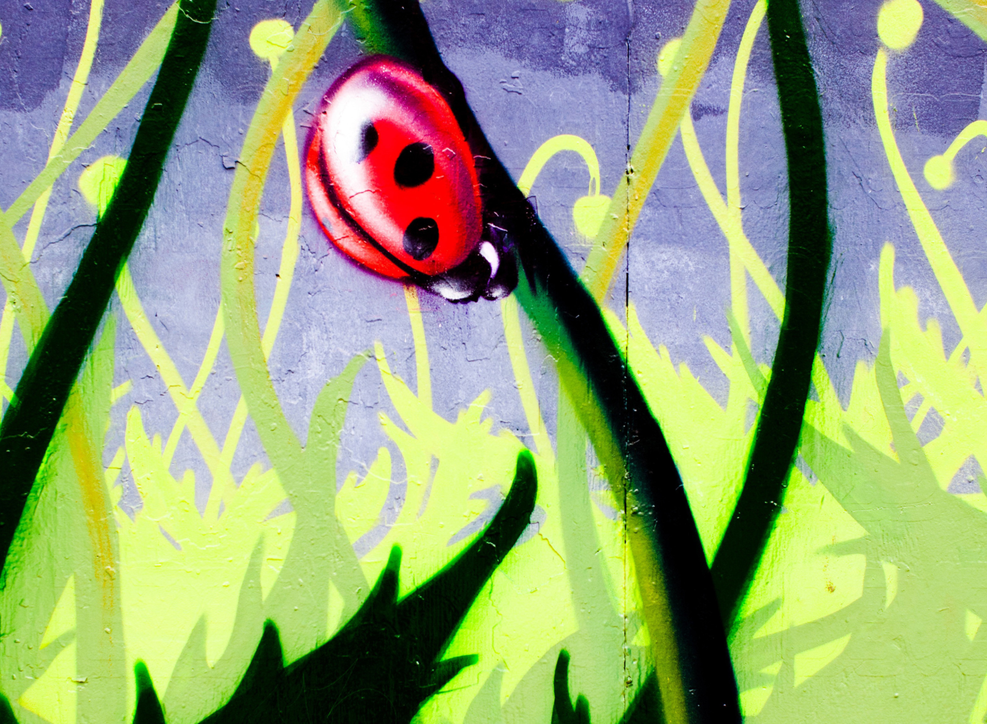 Screenshot №1 pro téma Ladybug Painting 1920x1408