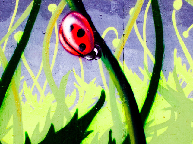 Sfondi Ladybug Painting 640x480