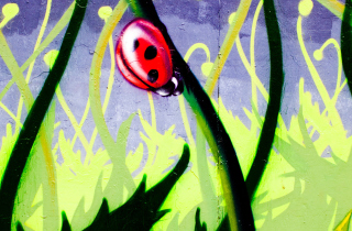 Ladybug Painting - Obrázkek zdarma pro Nokia Asha 302