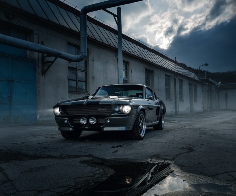 Ford Mustang GT500 Eleanor 1967 screenshot #1 480x400