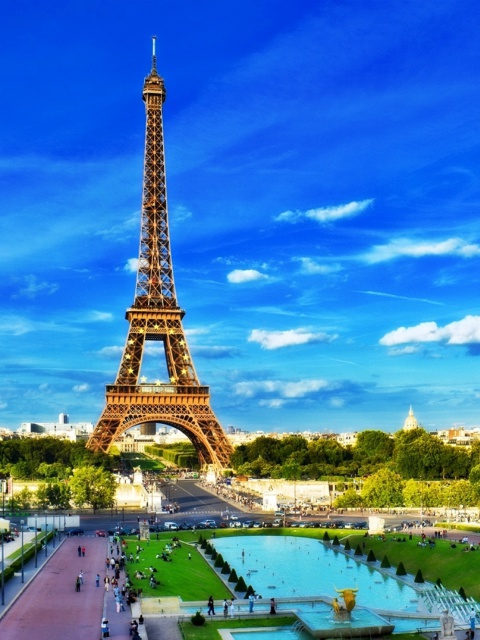Eiffel Tower on Champ de Mars Greenspace wallpaper 480x640
