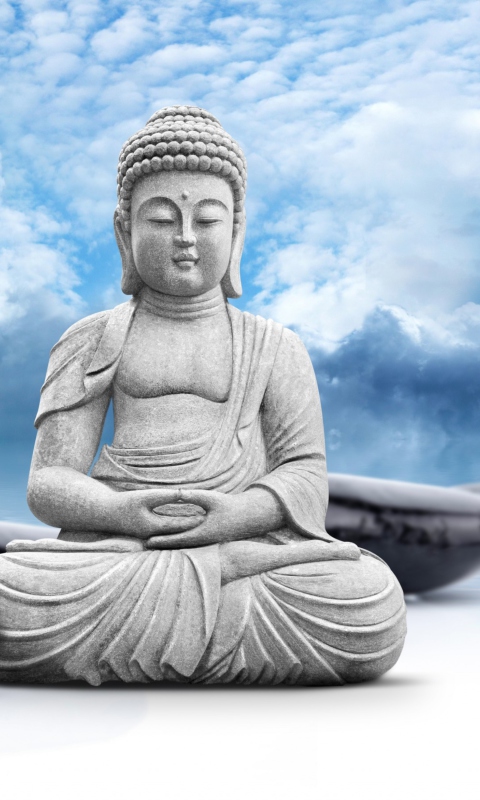 Das Buddha Statue Wallpaper 480x800