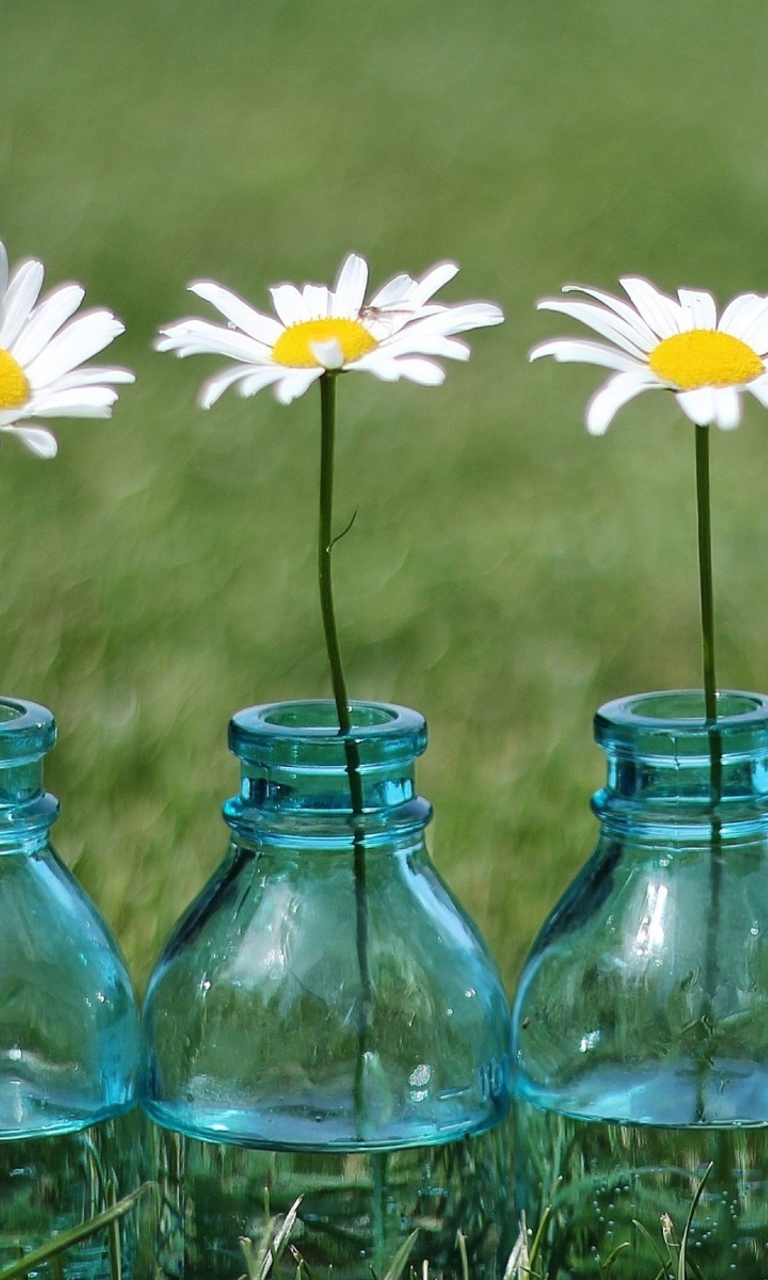 Screenshot №1 pro téma Daisies In Blue Glass Bottles 768x1280