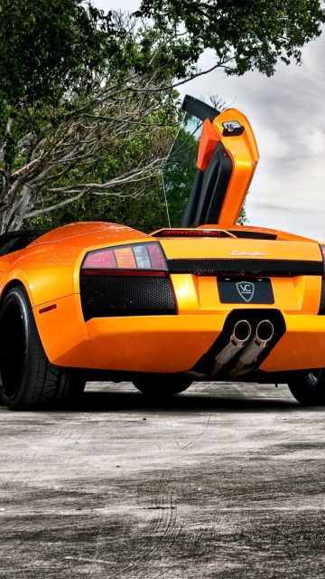 Das Orange Lamborghini Murcielago Wallpaper 360x640