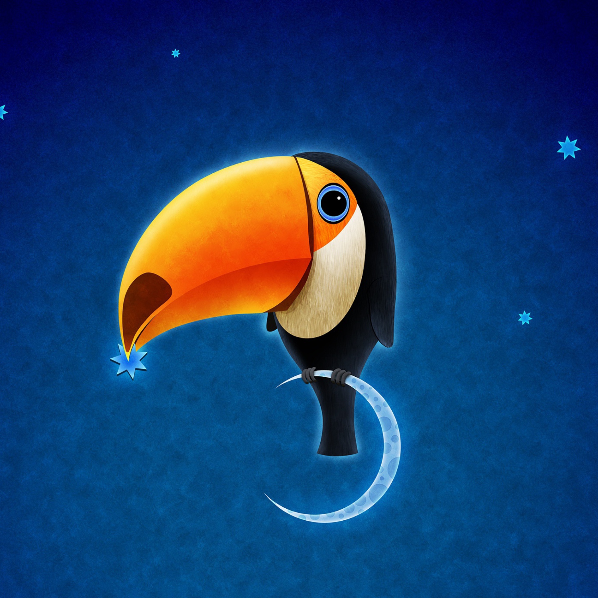 Sfondi Toucan Bird 2048x2048