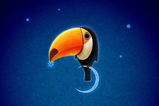 Toucan Bird - Obrázkek zdarma pro 640x480