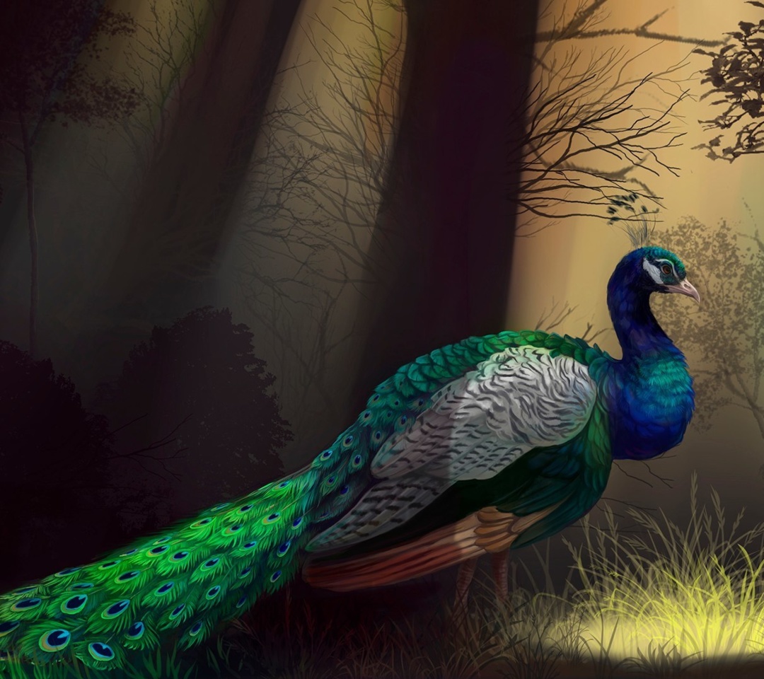 Das Peacock Wallpaper 1080x960