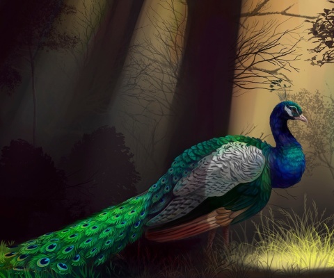 Peacock screenshot #1 480x400